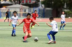 标题改写,揭秘绿茵蜕,森林队与利,开云体育,开云体育官网,开云体育app,开云体育平台,KAIYUN,SPORTS,kaiyun登录入口