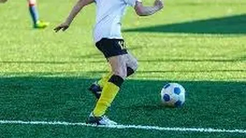 开云体育官方网站网址 产品 091436 l61