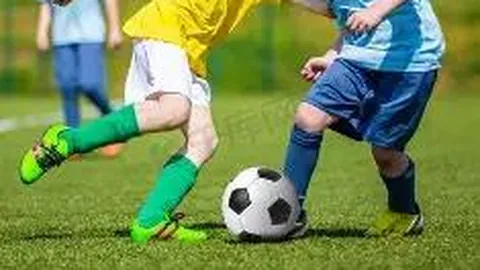 开云体育官方网站网址 产品 095655 lo0